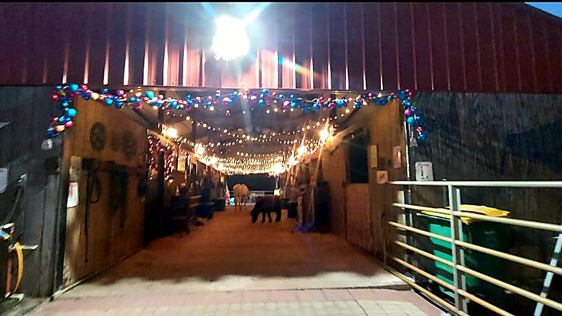 A warmly lit barn aisle prepared for daily animal care